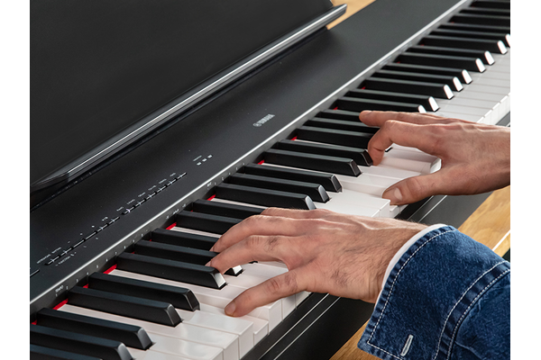 The hands of a person playing the P-225