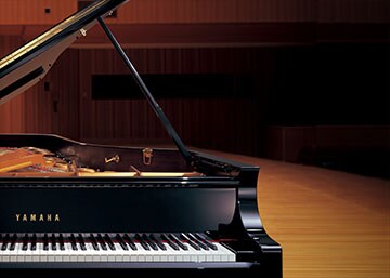 P-115 - Overview - P Series - Products - Pianos - Musical