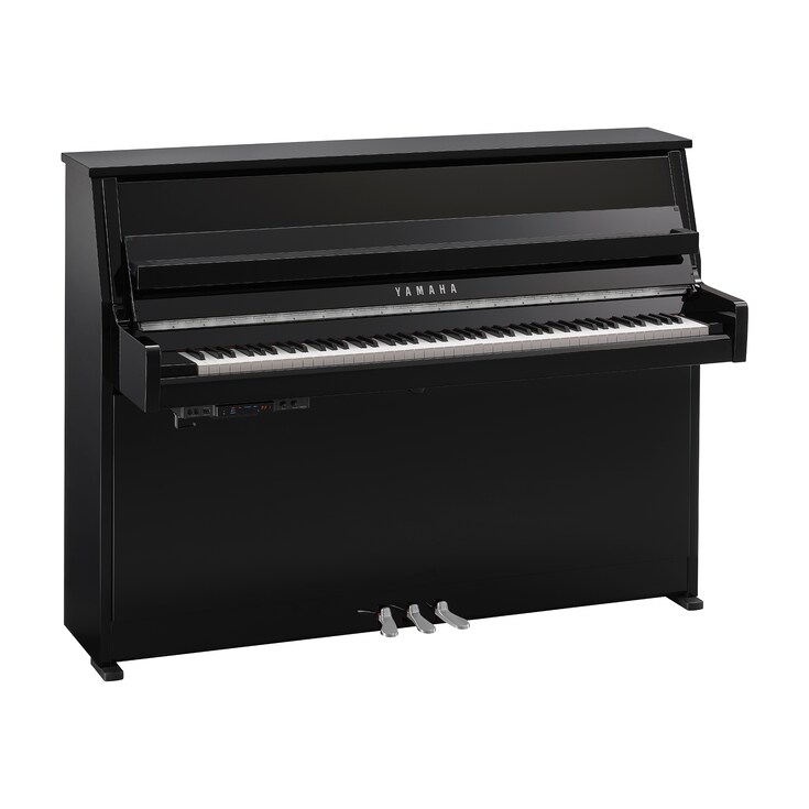 Product image of B10TC3 (Polished Ebony Chrome)