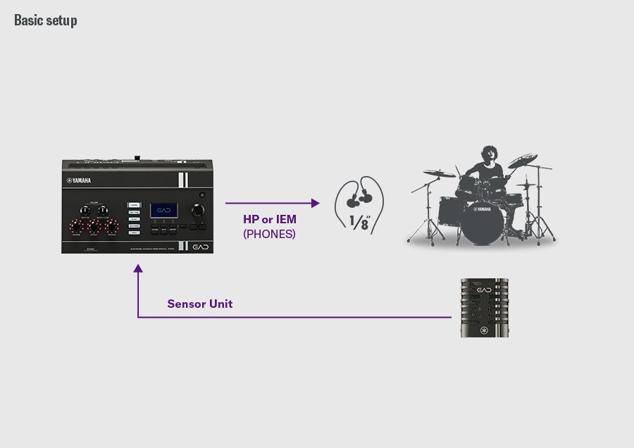 Diagram showing a basic EAD20 setup.