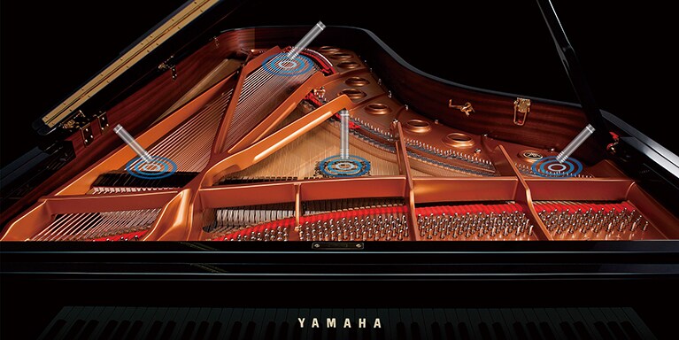 Photo Each piano was meticulously sampled using our proprietary Spatial Acoustic Sampling process