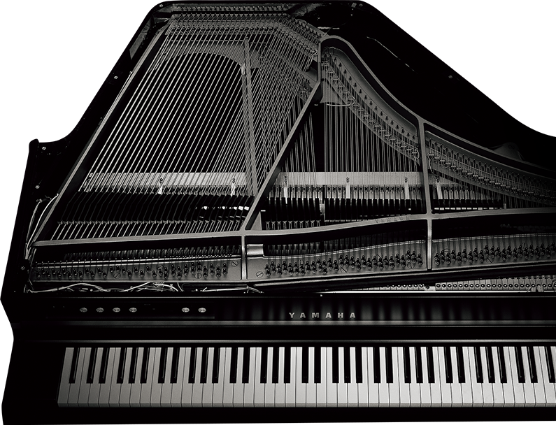 A hang keresésének eredményét méltó módon nevezhetjük zongorának